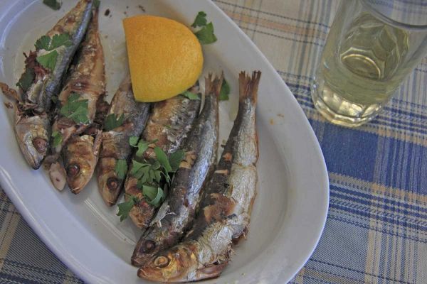 Greece, Paros, Naoussa Fresh cooked fish
